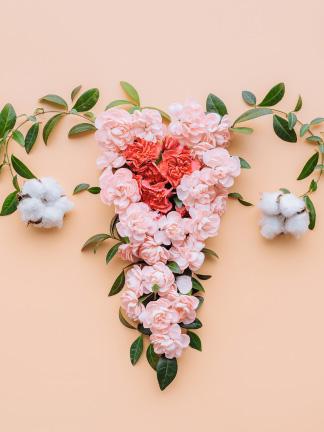 Perawatan Lembut Setiap Hari untuk Kenyamanan dan Perlindungan Area Intim Anda