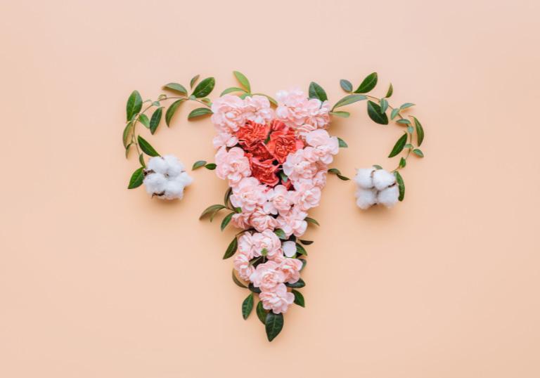 Perawatan Lembut Setiap Hari untuk Kenyamanan dan Perlindungan Area Intim Anda